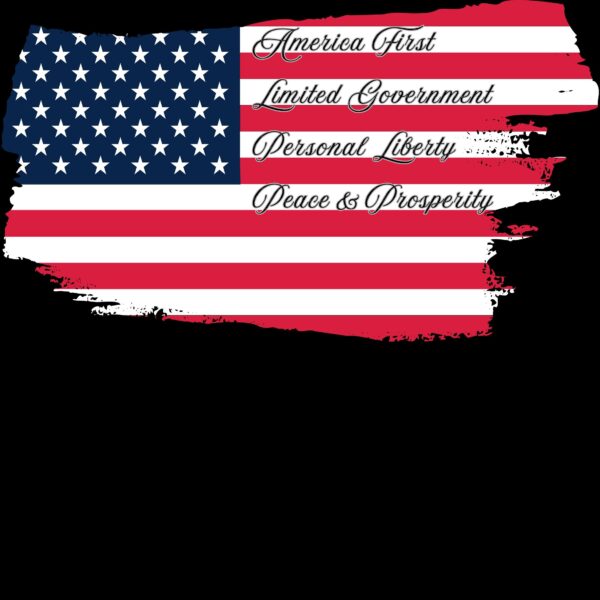 America First Limited Government Personal Liberty  Peace & Prosperity☮️🗽- Distressed Look and Feel Design Unisex Garment-Dyed T-shirt Statement Premium Comfort Colors 1717 Tee - Image 4